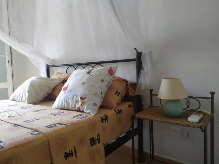 Charmant Appartement En Bord De Mer Avec Piscine Gourbeyre Eksteriør bilde
